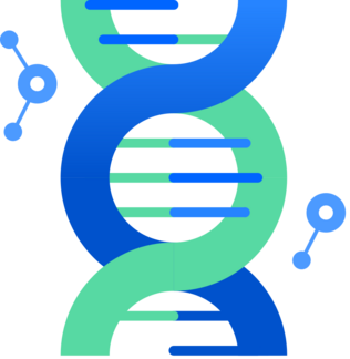 DNA helix