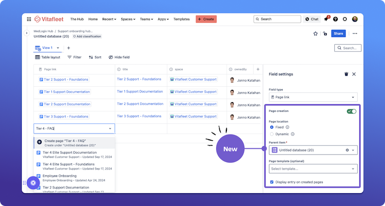 Confluence databases screenshot.