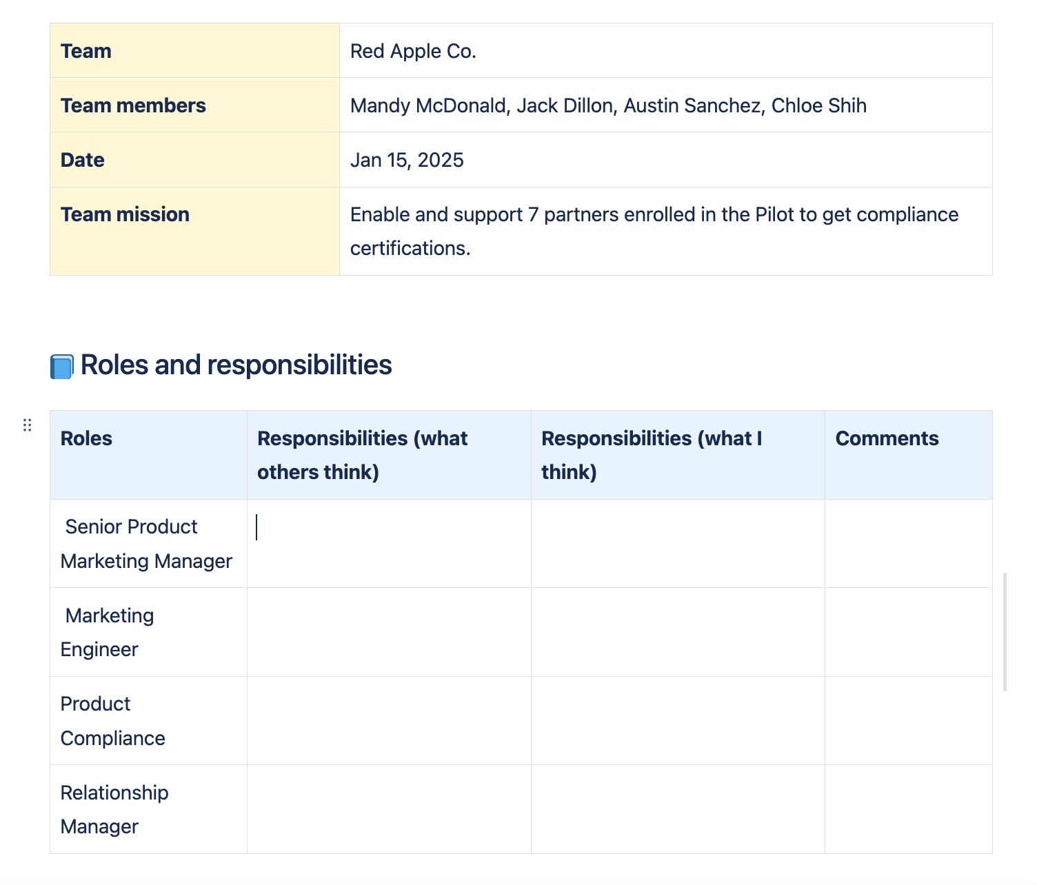 Roles and responsibilities format